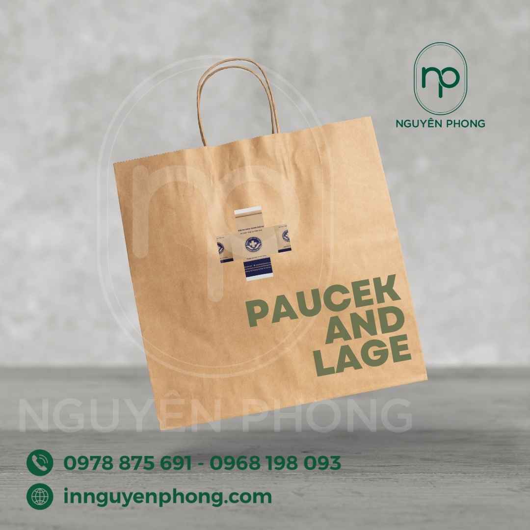 tui-giay-dung-thuoc